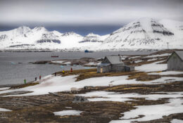 Spitsbergen_2025 (72/78)